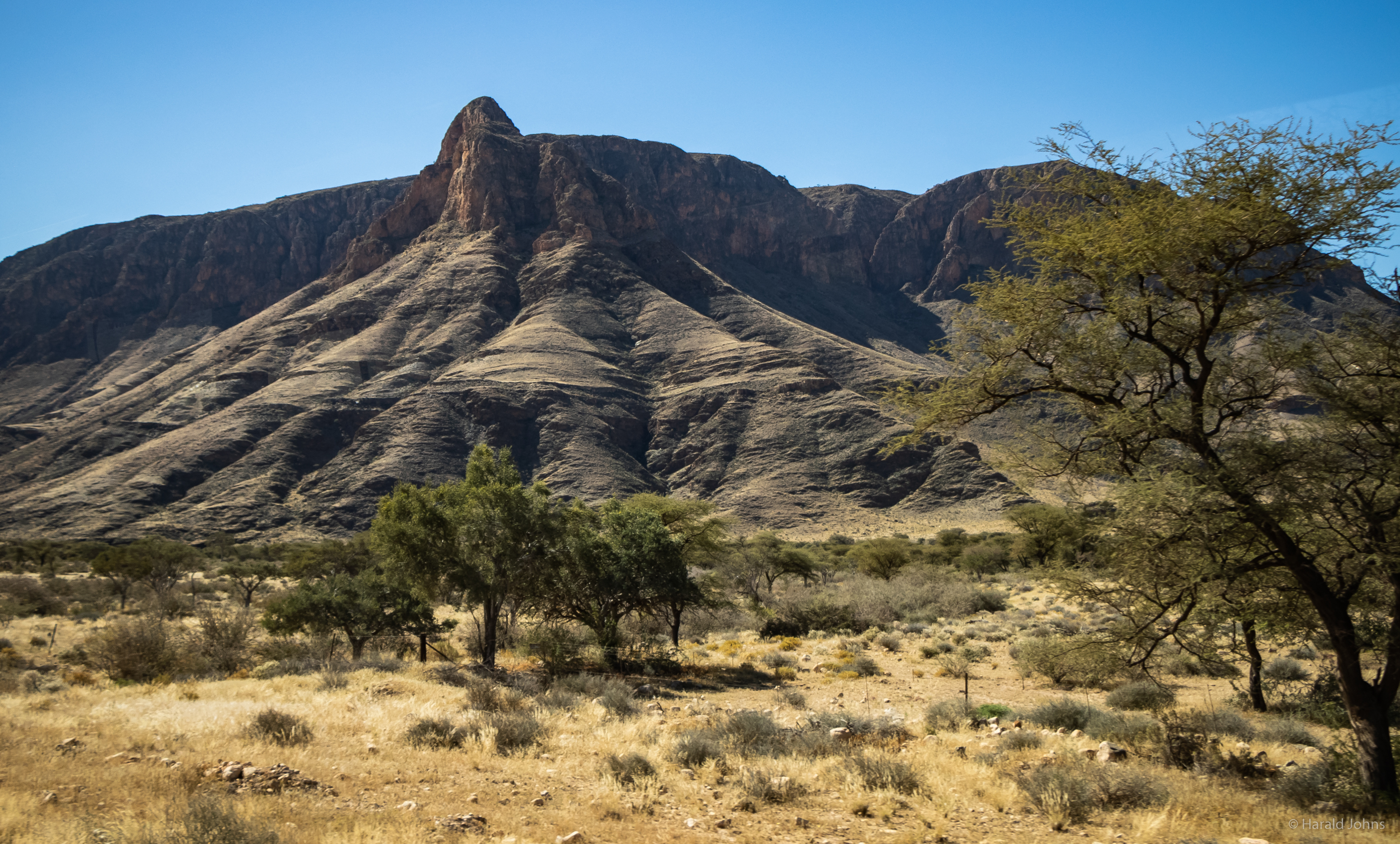 Flache und bergige Landschaften wechseln sich in der Dornstrauchsavanne der Kalaharie ab.