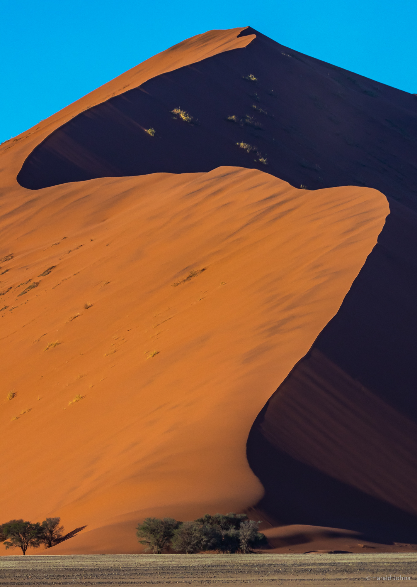 In der Namib Wüste gibt es die höchsten Sanddünen der Welt.