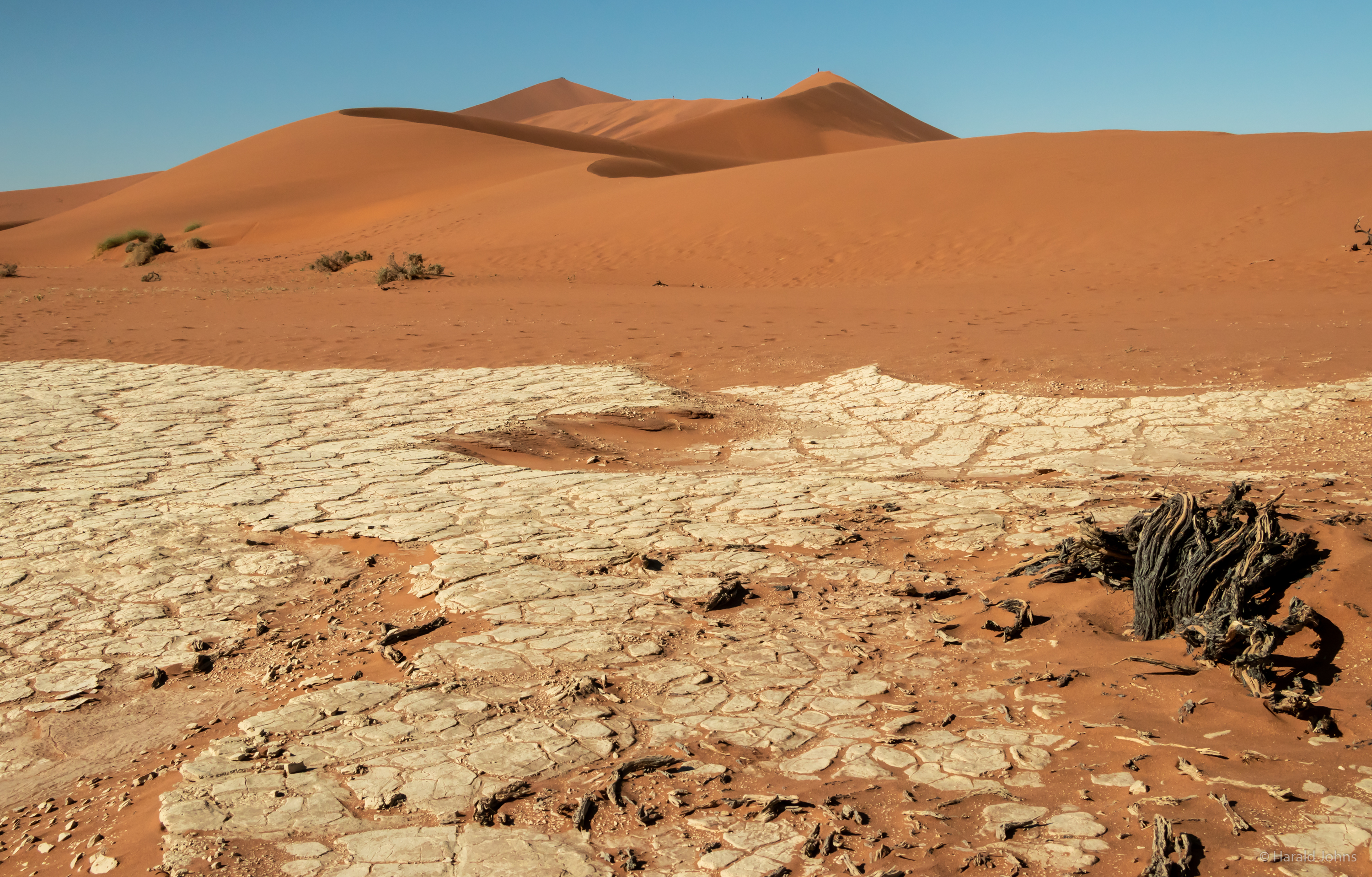 Salz und Ton bilden feste Untergründe an freien Stellen zwischen den Dünen in der Sossusvlei