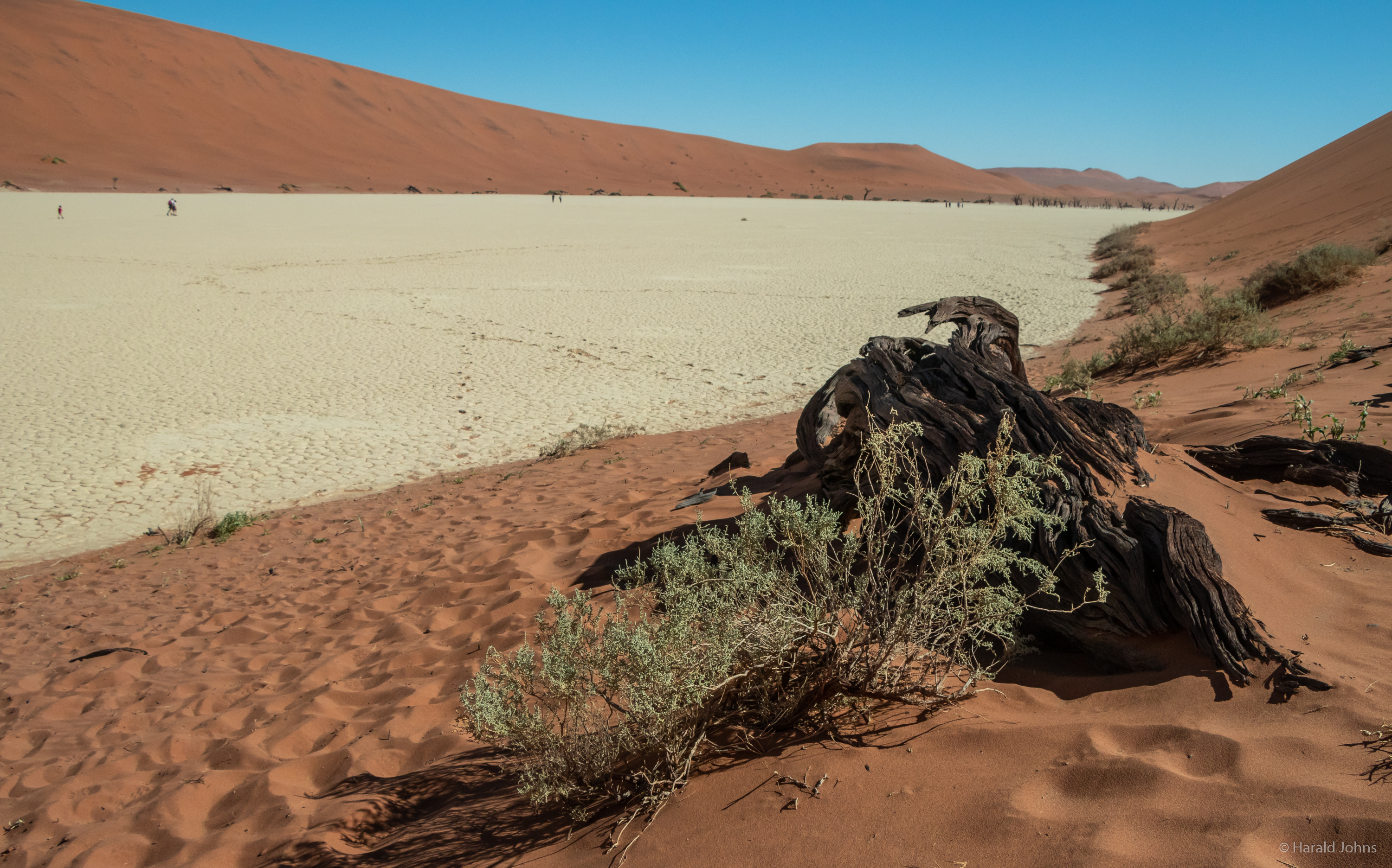 Salz-Ton-Pfanne mitten in der Namib Wüste
