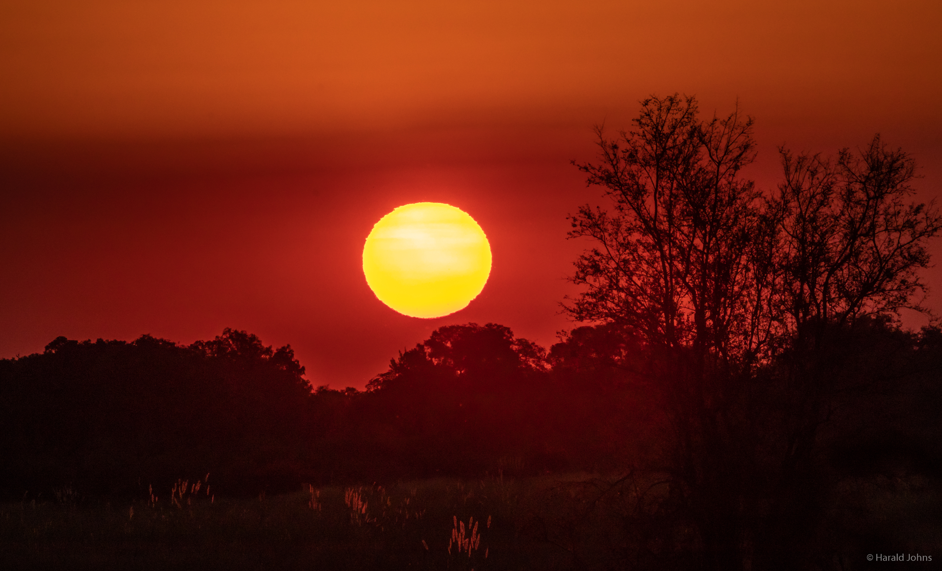 Sonnenuntergang mit kräftigen Farben am Kwando River
