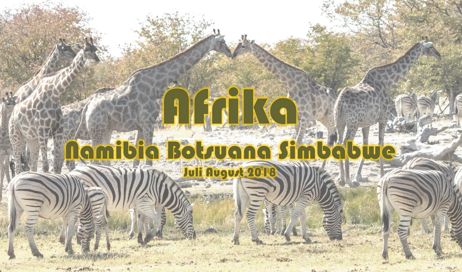 Namibia Botsuana Simbabwe 2018