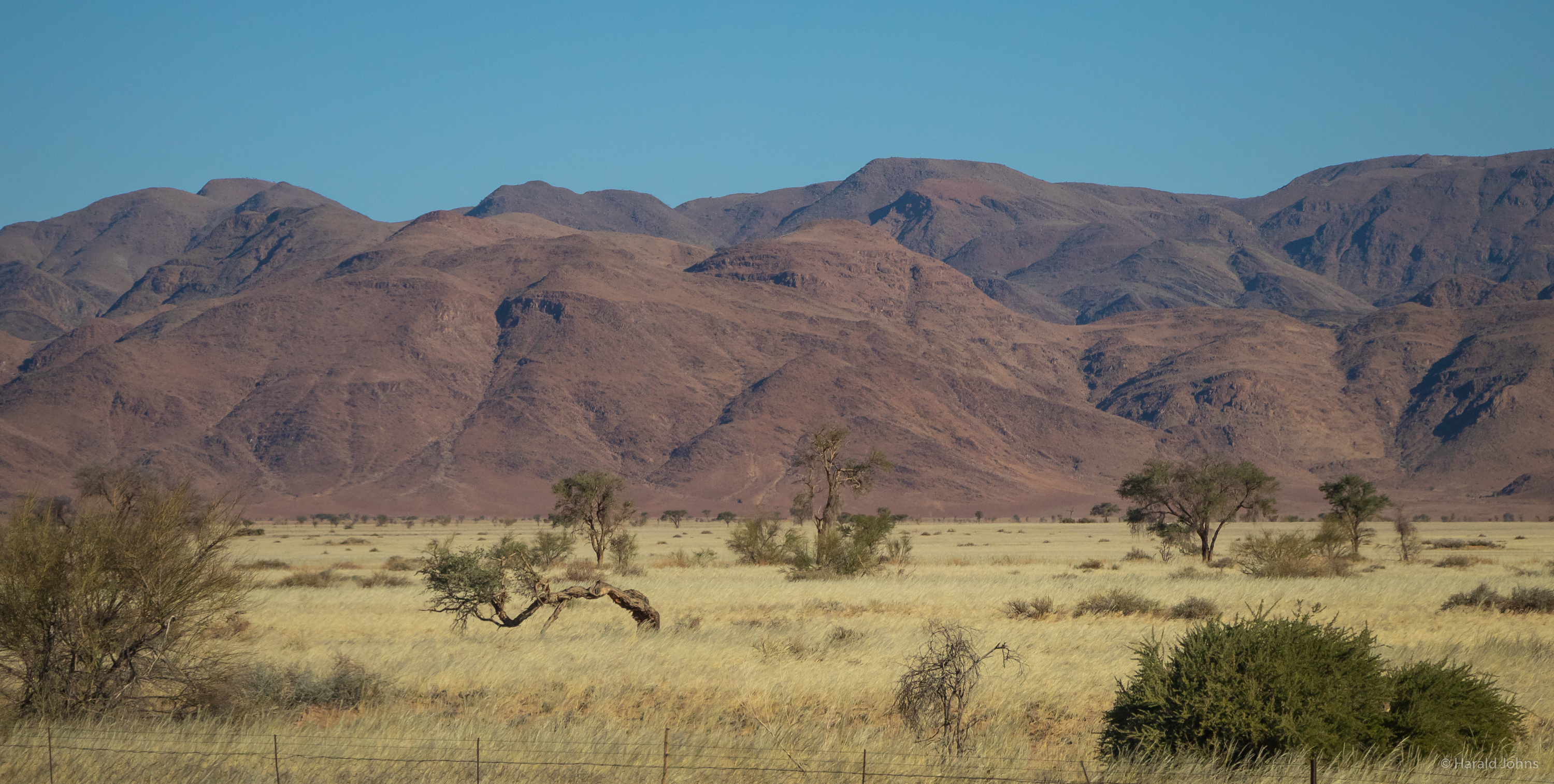 auf dem Weg Richtung Sossusvlei