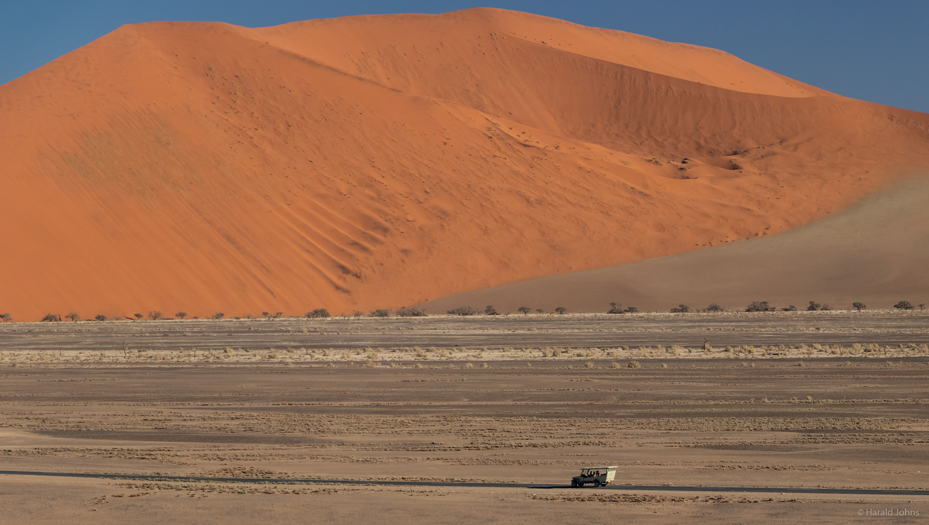 Straße in das Sossusvlei.
