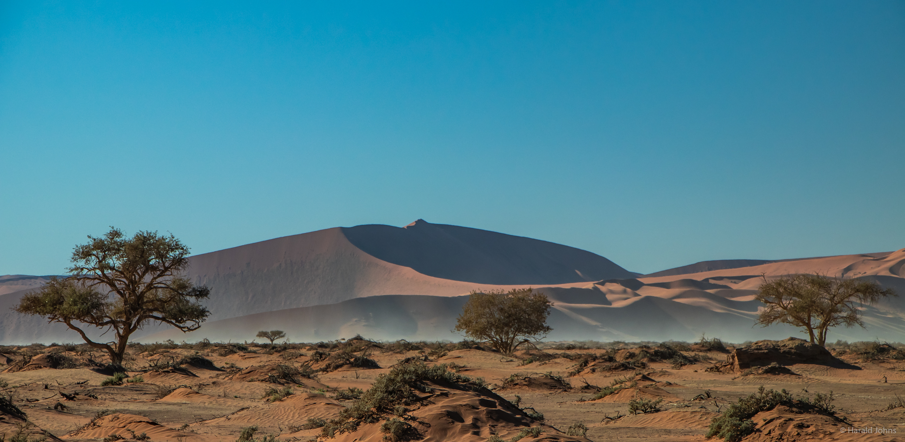 Die hohen Dünen der Sossusvlei.