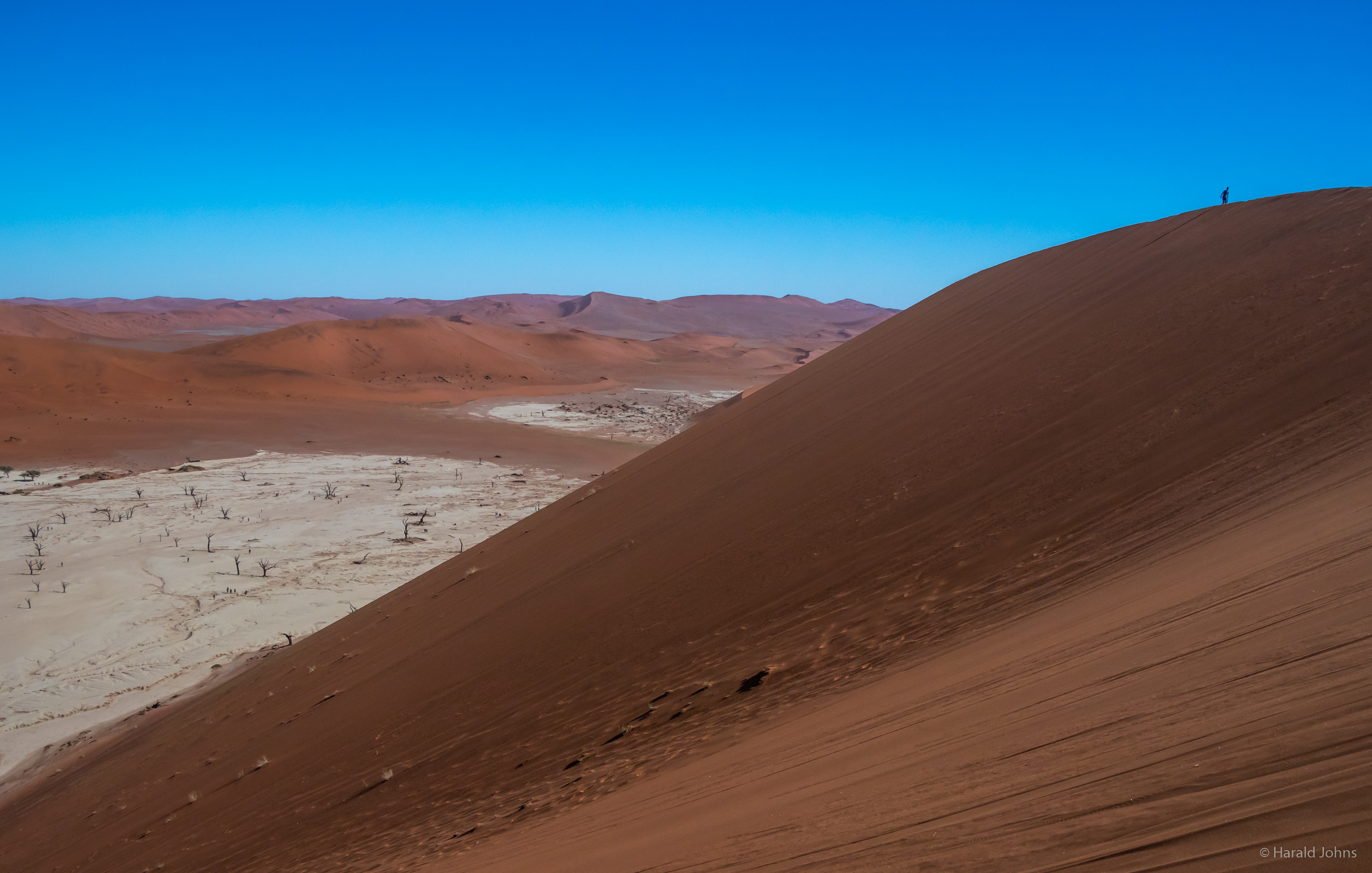 Blick hinunter in das Dead Vlei