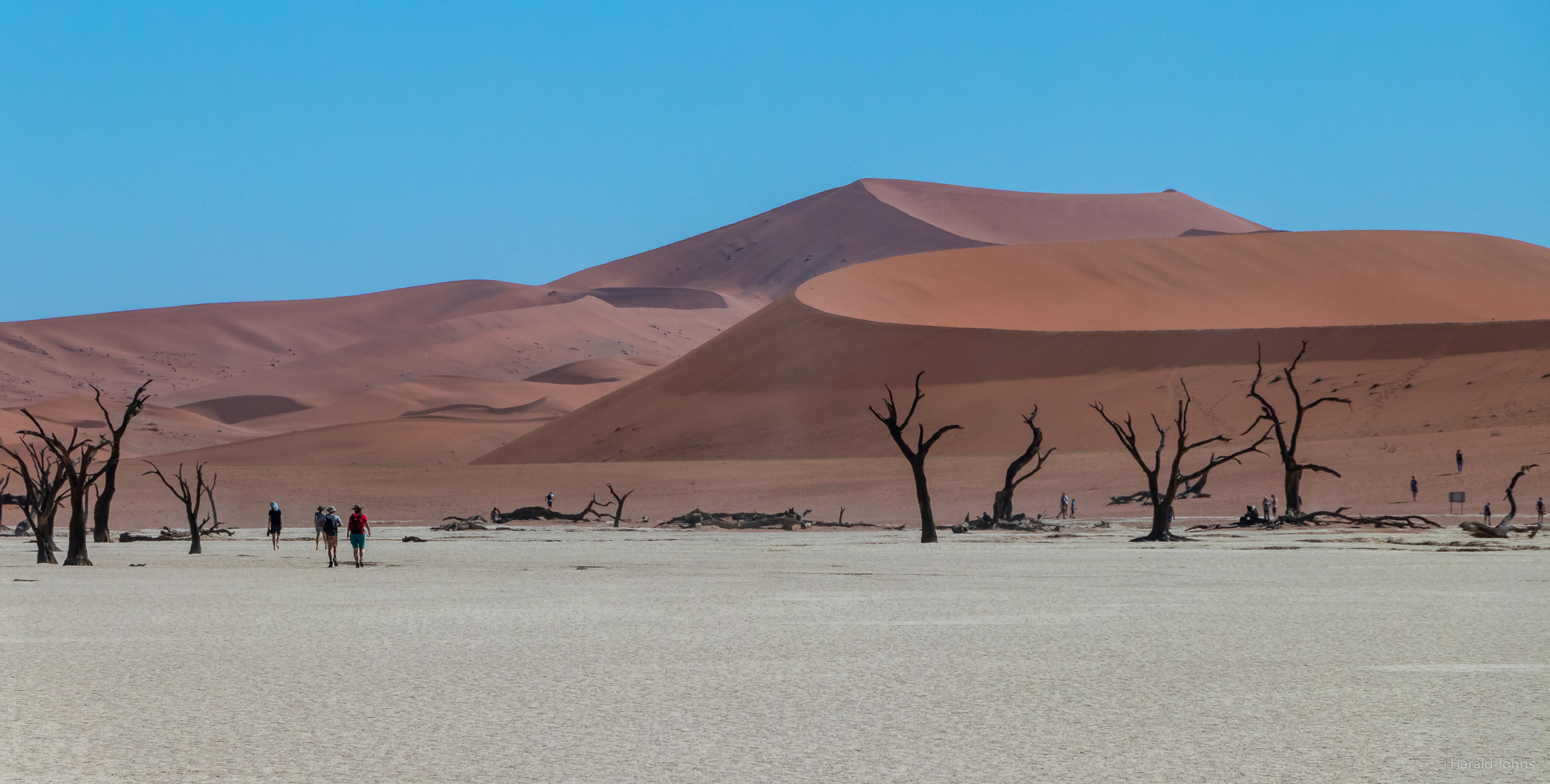 Der ausgetrocknete See Dead Vlei ist wohl der malerischste von allen.