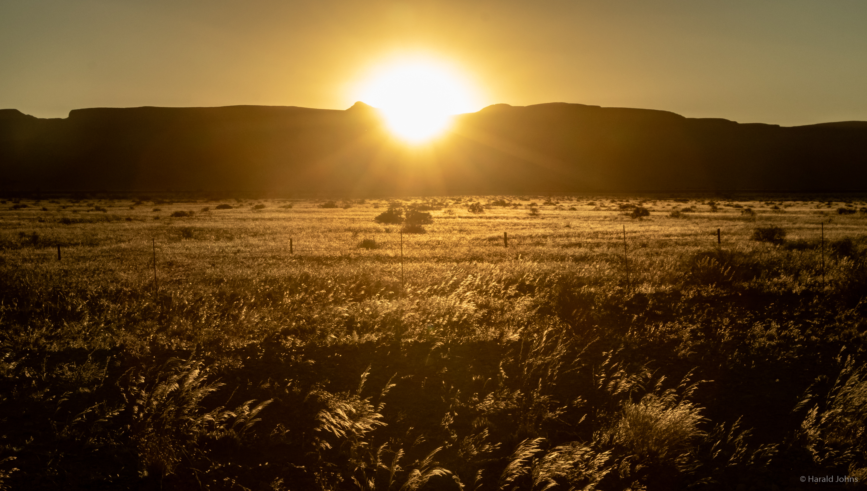 Goldig aufgehende Sonne über der Steppe