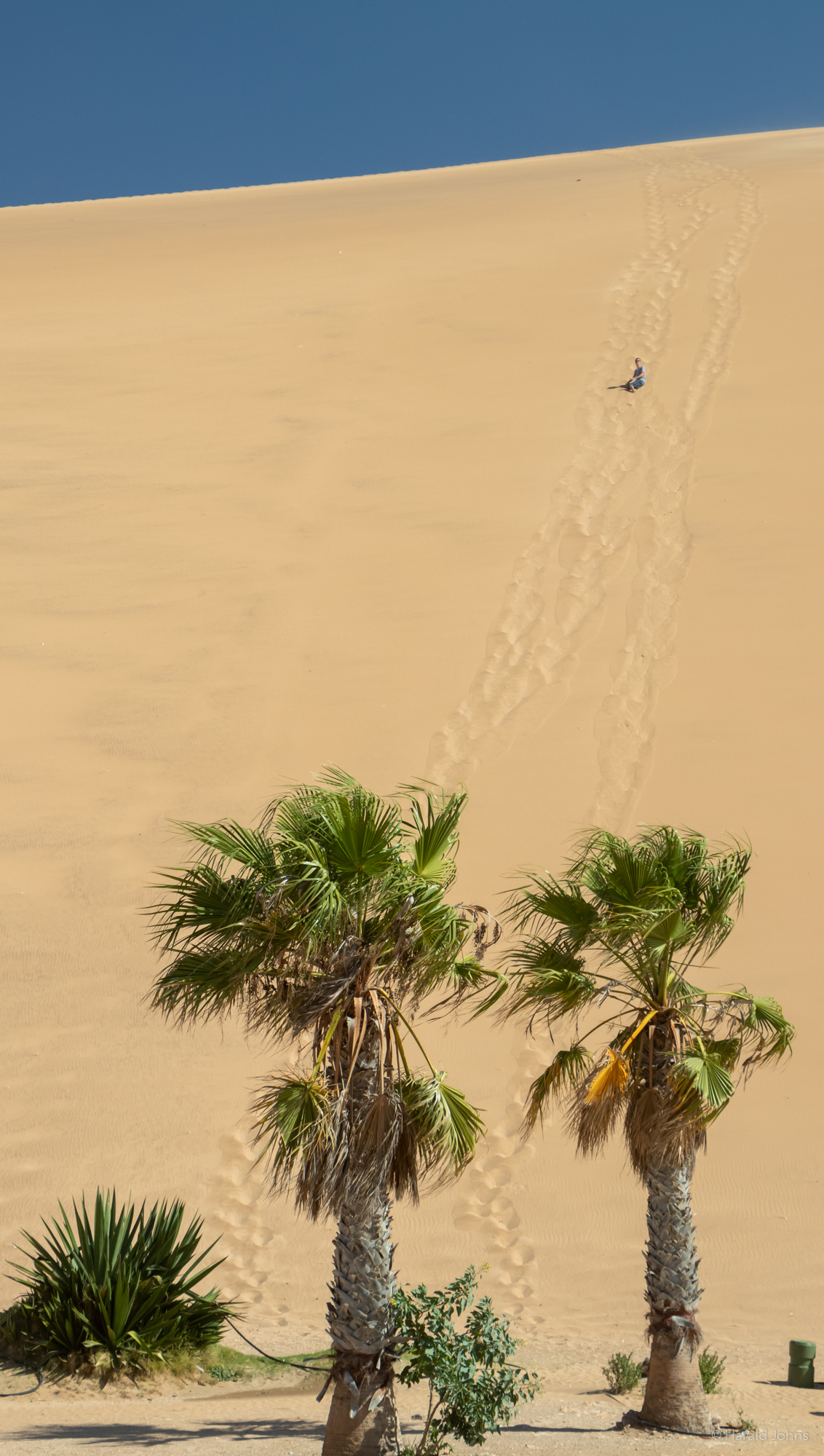 Hohe gelbe Sanddünen bei Walfischbucht (Walvis Bay)