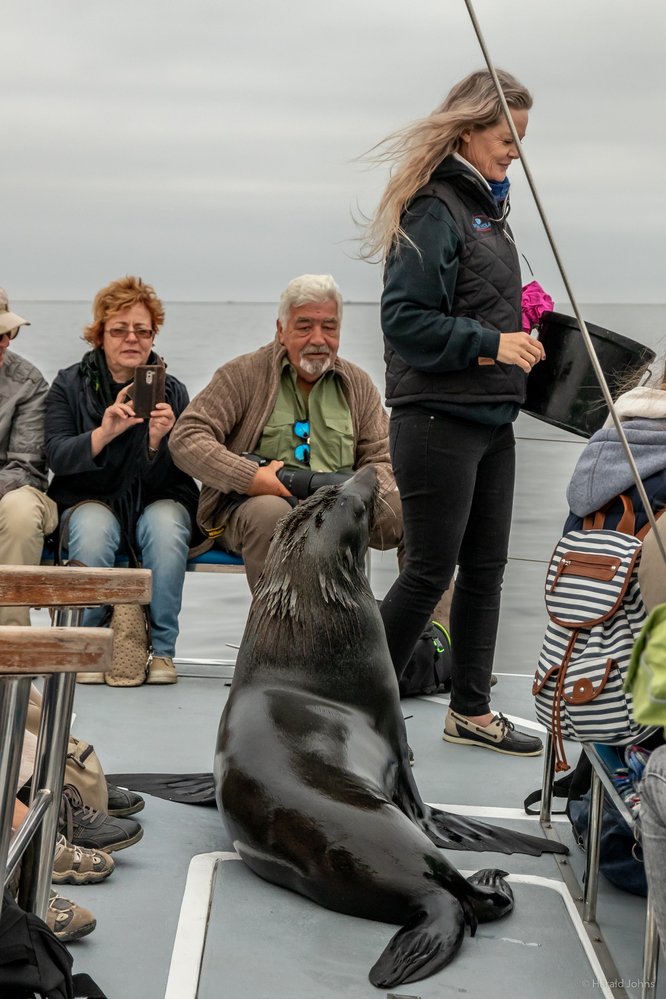 Mit einem Segel-Katamaran auf dem Atlantik. Gern lassen sich eine Robbe mitnehmen.
