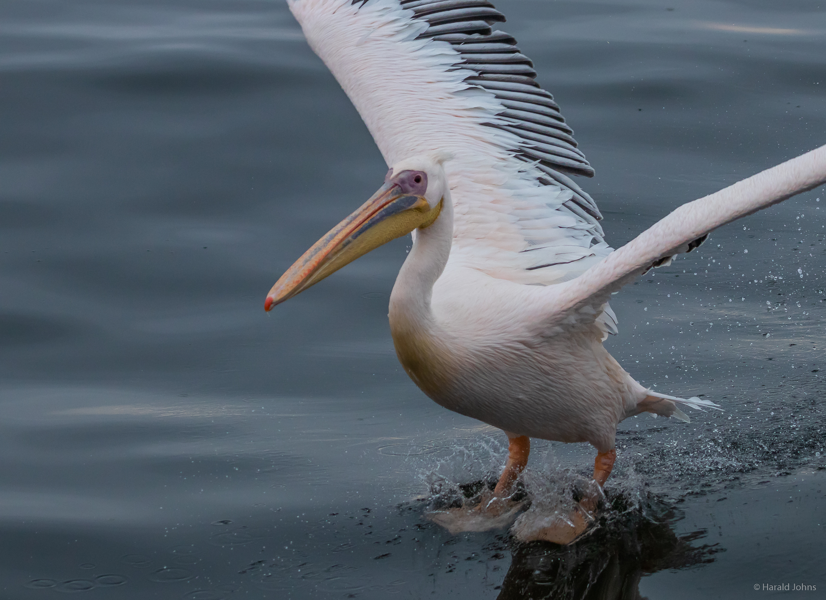 Landemanöver auf dem Wasser.