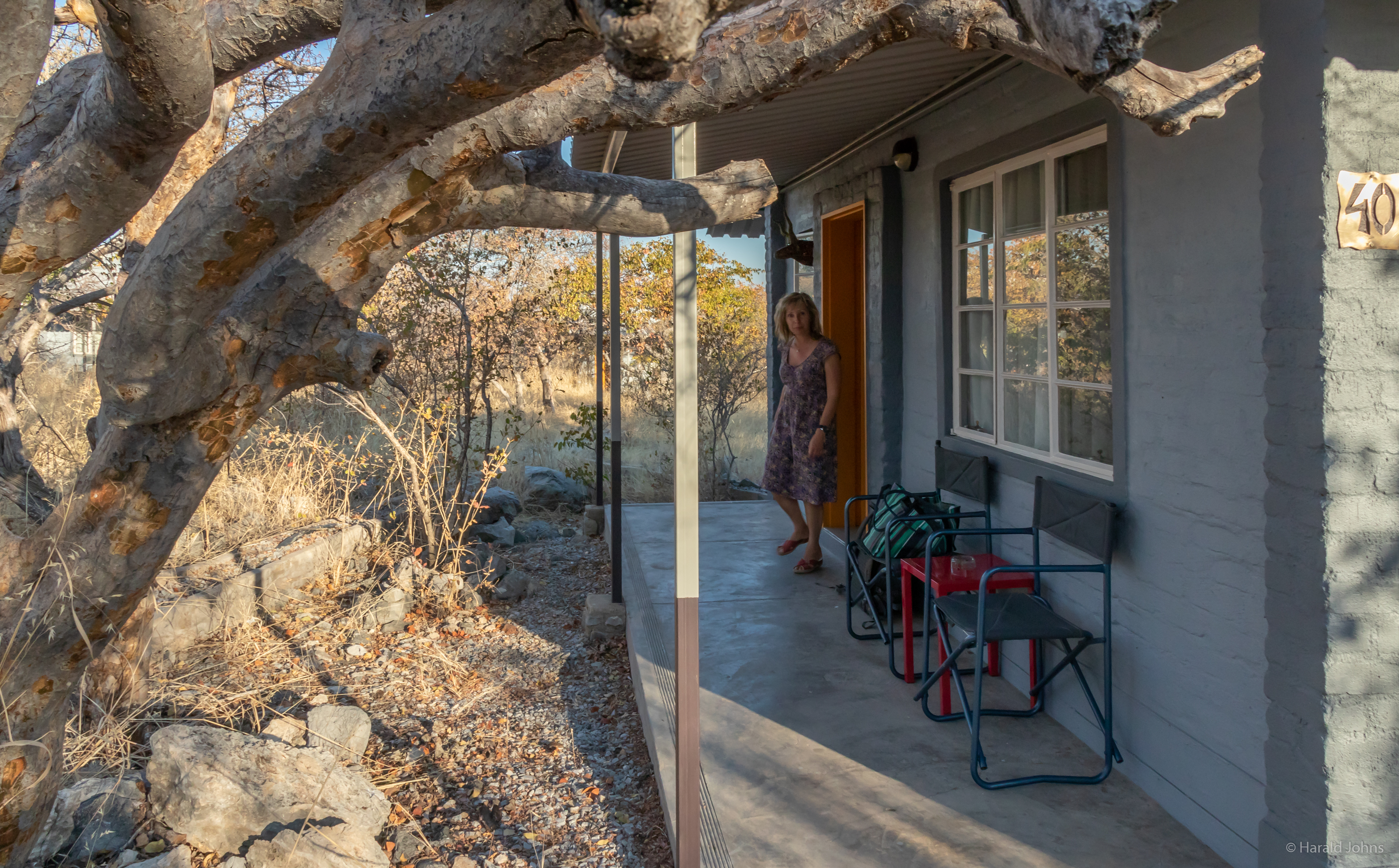 Etosha Safari Camp, Gondwana, Bungalows mitten in der Natur unter Mopane-Bäumen 