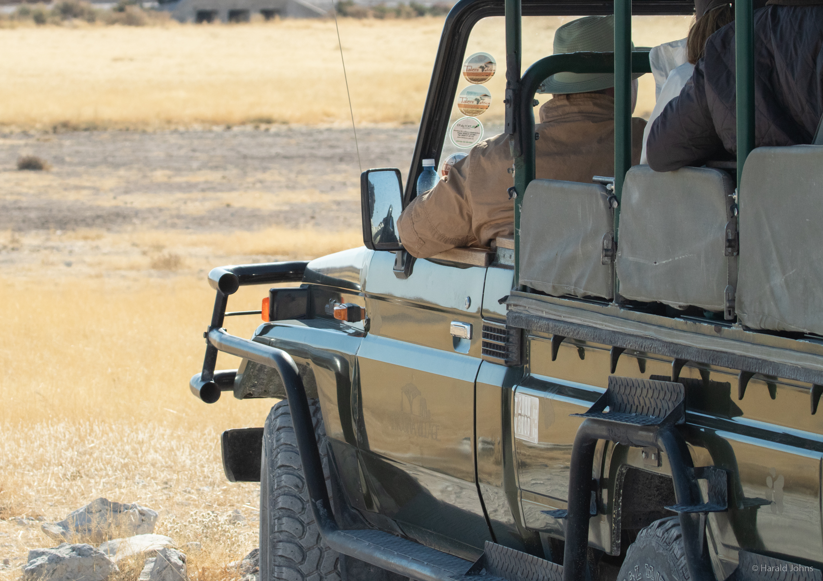 Safarie im Etosha Nationalpark
