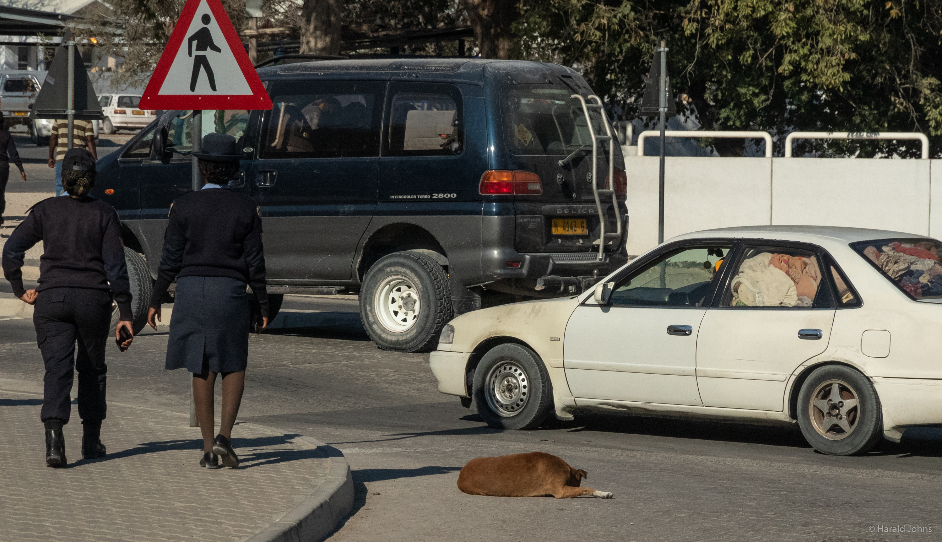 Sraßenhund schläft unbekümmert.