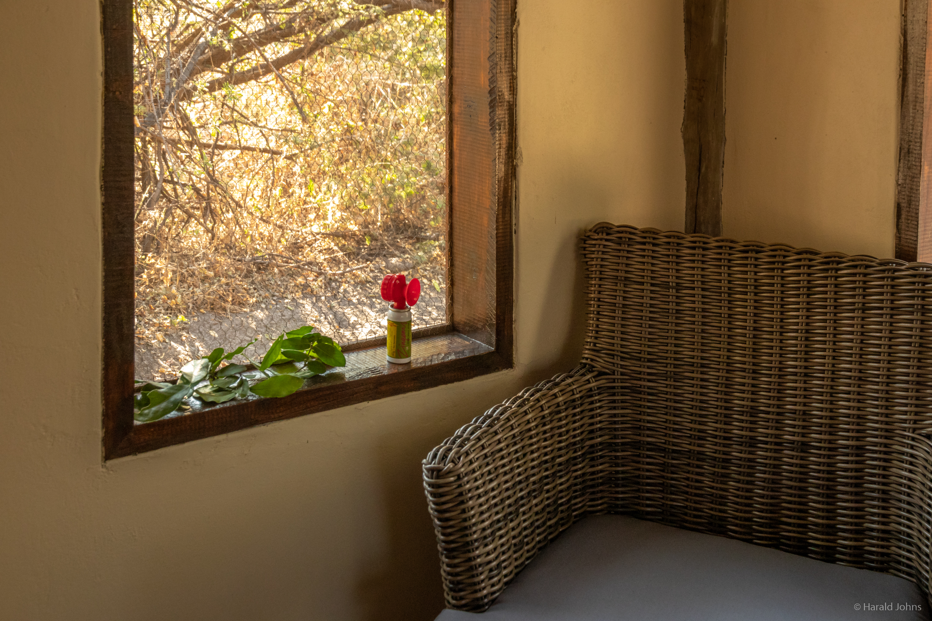 Scheibenlose Fenster mit Gaze