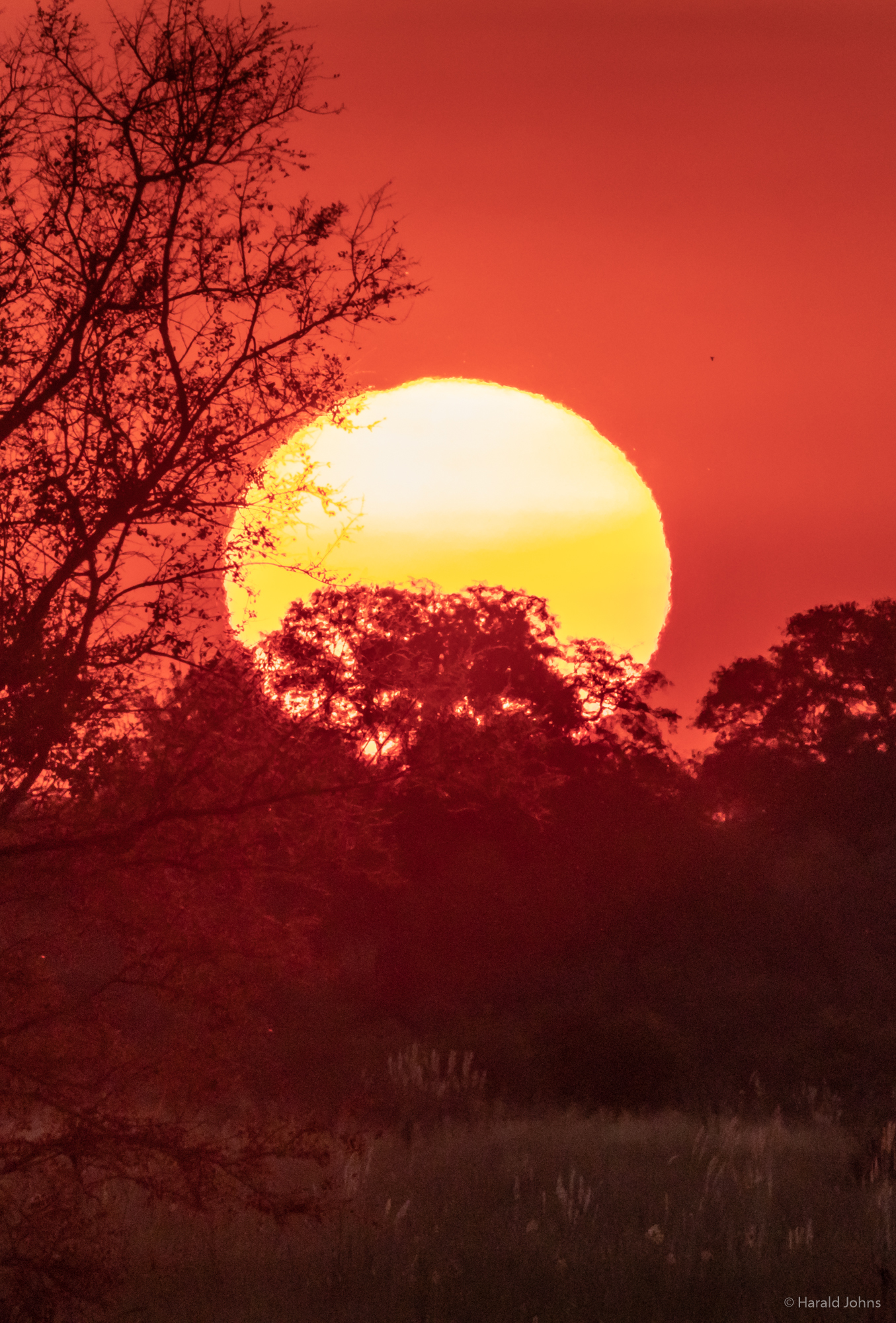 Sonnenuntergang mit kräftigen Farben am Kwando River