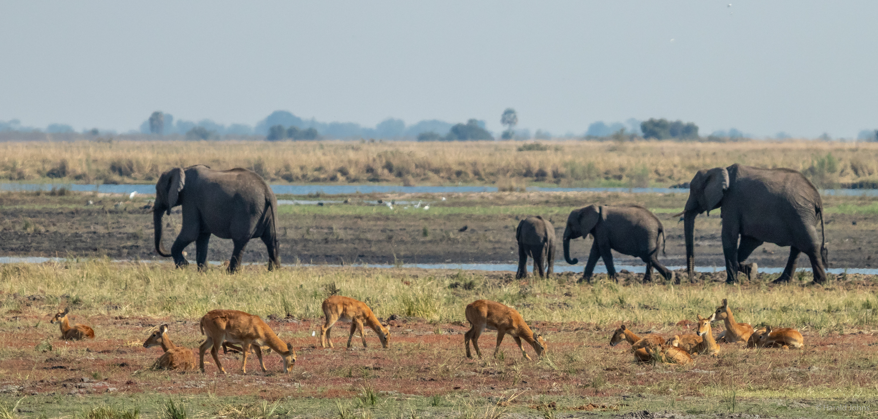 Cuando-Schleife bei Serondela im Chobe-Nationalpark